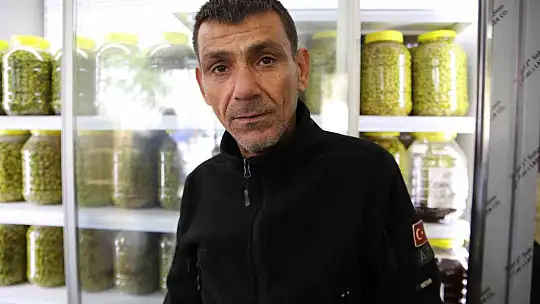 Gaziantep'te yeşil zeytin tezgaha indi