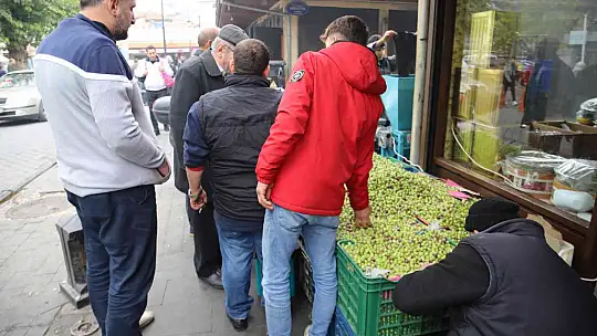 Gaziantep'te yeşil zeytin tezgaha indi
