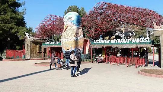 Gaziantep'te yırtıcı hayvanlar için safari park kurulacak
