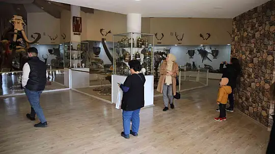 Gaziantep'te yırtıcı hayvanlar için safari park kurulacak