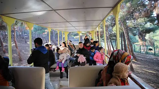 Gaziantep'te yırtıcı hayvanlar için safari park kurulacak