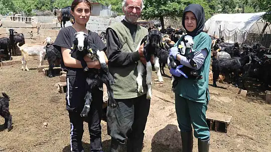 Gaziantep'teki depremzede besiciler devlet desteğiyle üretime devam ediyor