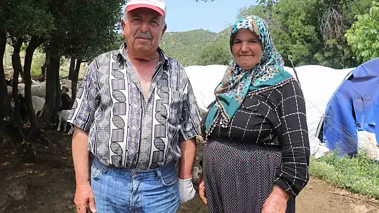 Gaziantep'teki depremzede besiciler devlet desteğiyle üretime devam ediyor