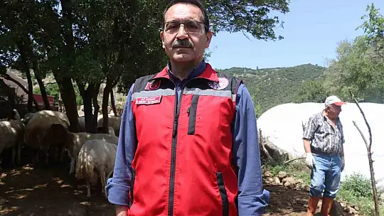 Gaziantep'teki depremzede besiciler devlet desteğiyle üretime devam ediyor