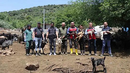 Gaziantep'teki depremzede besiciler devlet desteğiyle üretime devam ediyor