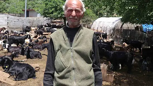 Gaziantep'teki depremzede besiciler devlet desteğiyle üretime devam ediyor
