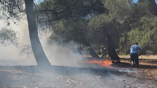 Gaziantep'teki orman yangını söndürüldü