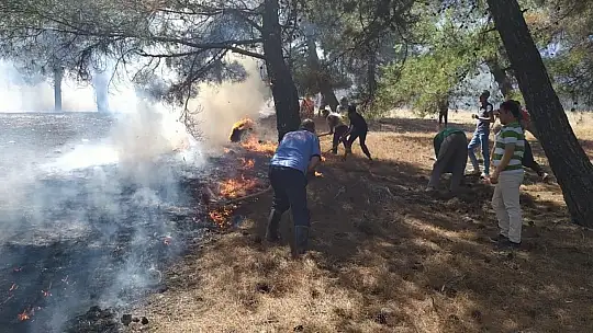 Gaziantep'teki orman yangını söndürüldü