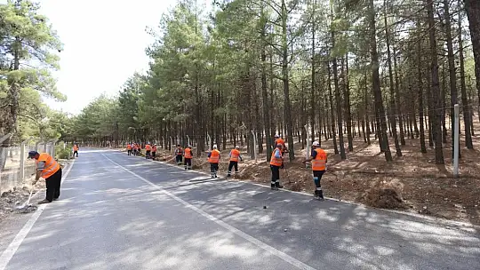 Gaziantep'teki ormanlık alanlarda tedbirler arttırıldı