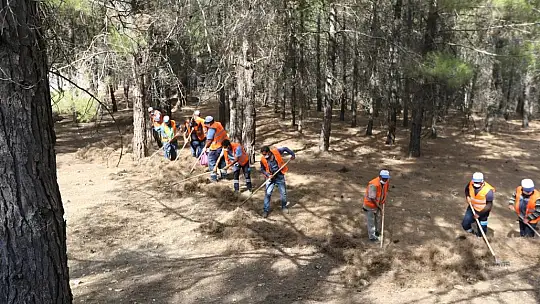 Gaziantep'teki ormanlık alanlarda tedbirler arttırıldı