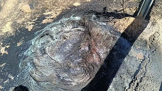 Gaziantep'teki yangının bilançosu belli oldu