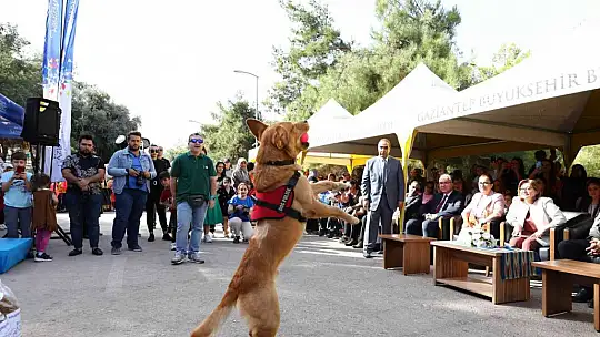 Gaziantep uygulaması ile puanını tamamlayanlara mama verildi