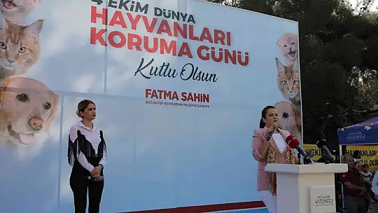 Gaziantep uygulaması ile puanını tamamlayanlara mama verildi