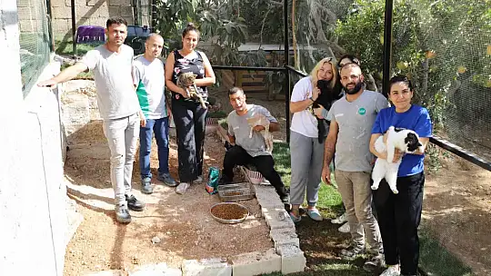 Gaziantepli hayvanseverden örnek davranış