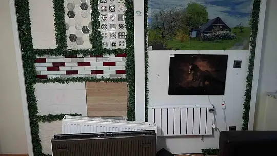 Genç kadın girişimci, doğalgaza alternatif boya ile ısıtma sistemi keşfetti