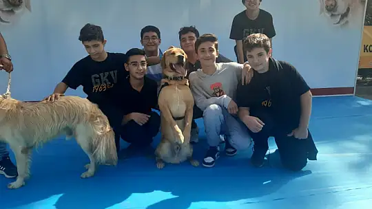 GKV'li öğrencilerinden hayvanlara mama desteği