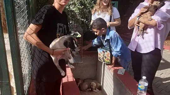 GKV'li öğrencilerinden hayvanlara mama desteği
