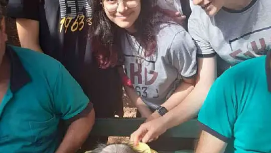 GKV'li öğrencilerinden hayvanlara mama desteği