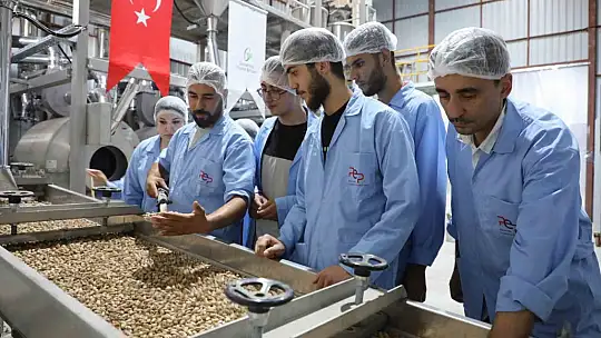 GTB'den Antep fıstığının işlenmesine yönelik eğitim