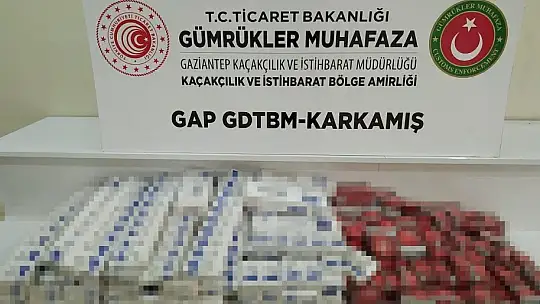 Gümrük kapılarında kaçakçılığa geçit yok