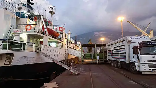 Güneydoğu'dan canlı hayvan ihracatı başladı