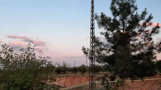 Hırsızlık zanlısının feci sonu
