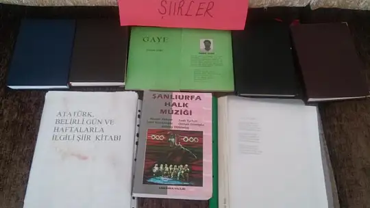 Hülya Avşar ile tanındı, Cumhurbaşkanı Erdoğan için yeniden yazmaya başladı