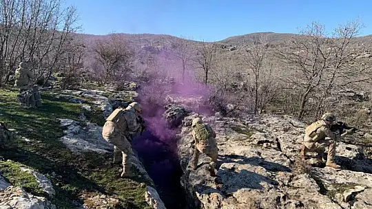 İçişleri Bakanlığı, Mardin'de 'Eren Kış-33 Şehit Jandarma Er Harun Lal' Operasyonu başlatıldığını duyurdu