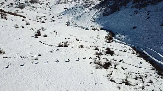 İçişleri Bakanlığınca 'Eren Kış-16 Bingöl-Sağgöze Şehit Jandarma Binbaşı Adil Karagöz Operasyonu' başlatıldı
