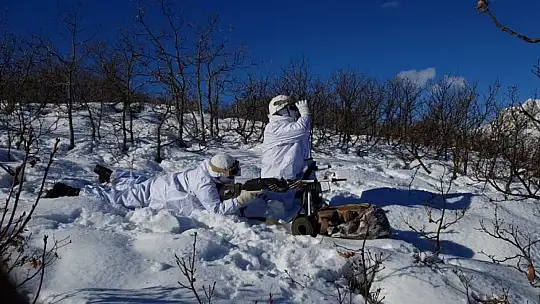 İçişleri Bakanlığınca 'Eren Kış-16 Bingöl-Sağgöze Şehit Jandarma Binbaşı Adil Karagöz Operasyonu' başlatıldı