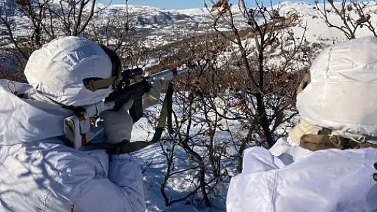 İçişleri Bakanlığınca 'Eren Kış-16 Bingöl-Sağgöze Şehit Jandarma Binbaşı Adil Karagöz Operasyonu' başlatıldı