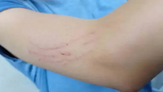 İki kız çocuğuna markette öldüresiye dayak kamerada
