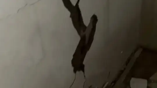 İkinci depremde yıkılan binanın ilk depremden sonra çekilmiş görüntüleri ortaya çıktı