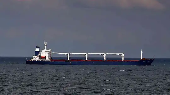 İlk tahıl gemisi 'Razoni' İstanbul Boğazı'ndan geçti