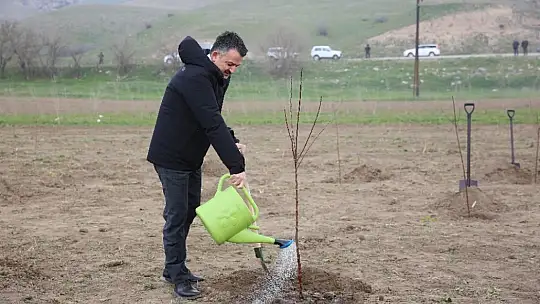 İşgalden kurtarılan Karabağ'da Türkiye'nin öncülüğünde tarım faaliyetlerine başlandı