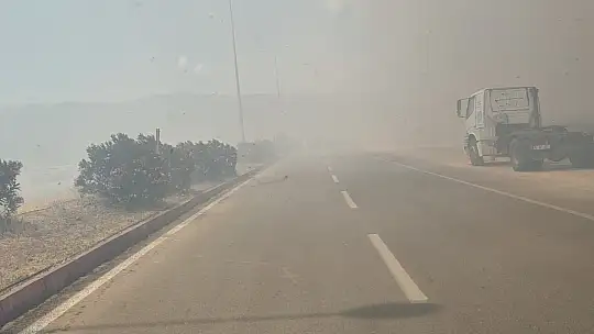 Anız yangını trafiği durdurdu