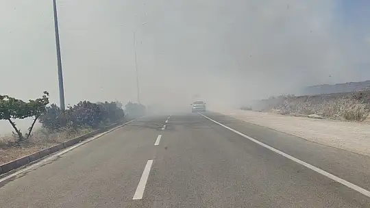 Anız yangını trafiği durdurdu
