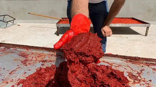 İşletmelerin salça mesaisi başladı