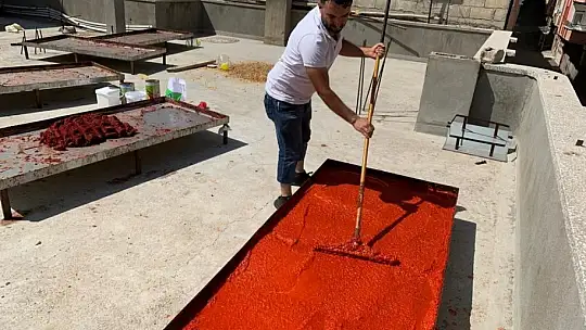 İşletmelerin salça mesaisi başladı