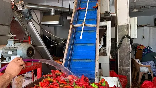 İşletmelerin salça mesaisi başladı