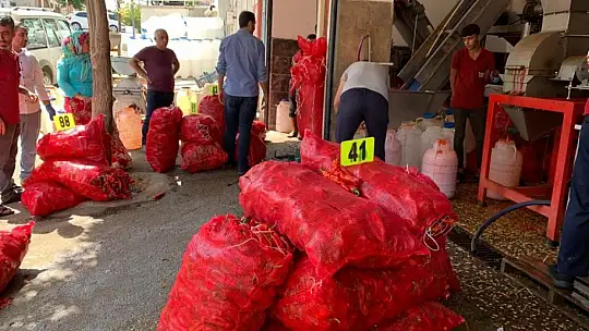 İşletmelerin salça mesaisi başladı