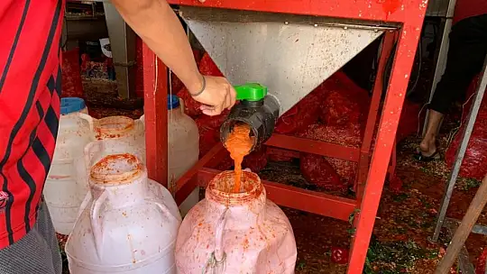 İşletmelerin salça mesaisi başladı
