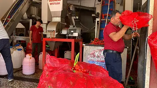 İşletmelerin salça mesaisi başladı