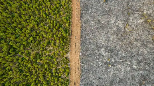 İşte, 'Yılın Basın Fotoğrafları'