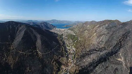 İşte, 'Yılın Basın Fotoğrafları'