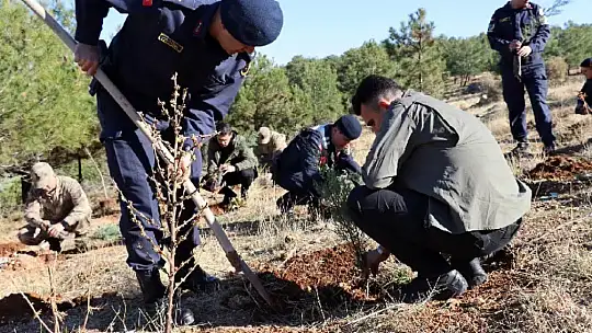 Jandarma 100. yıla özel 100 fidan dikti