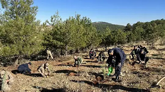 Jandarma 100. yıla özel 100 fidan dikti