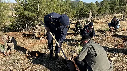 Jandarma 100. yıla özel 100 fidan dikti