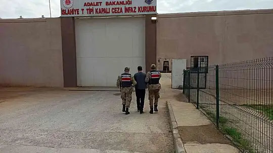 Jandarma, çeşitli suçlardan aranan 7 şahsı yakaladı