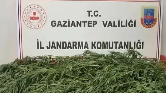 Jandarma uyuşturucuya geçit vermiyor